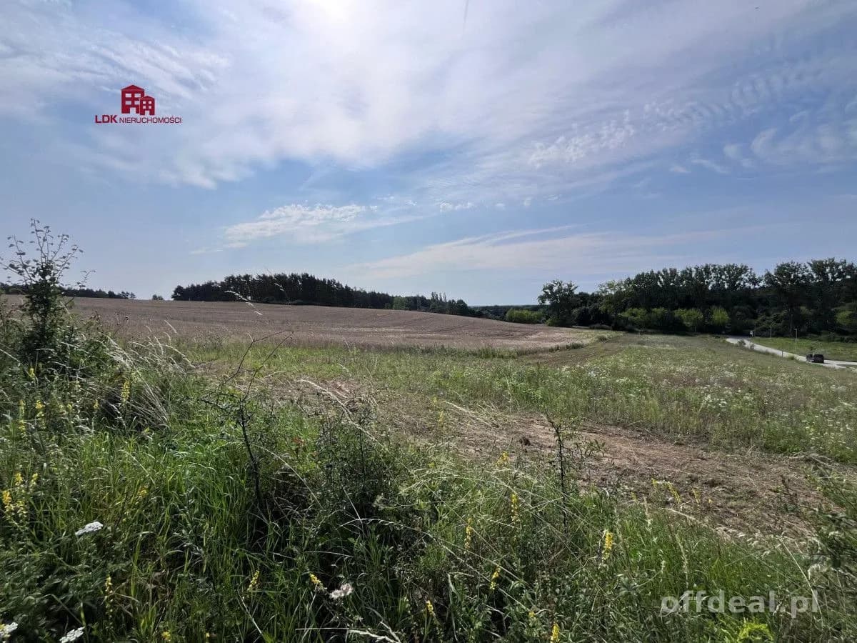 Atrakcyjna działka z planem – Przytok k. Zielonej