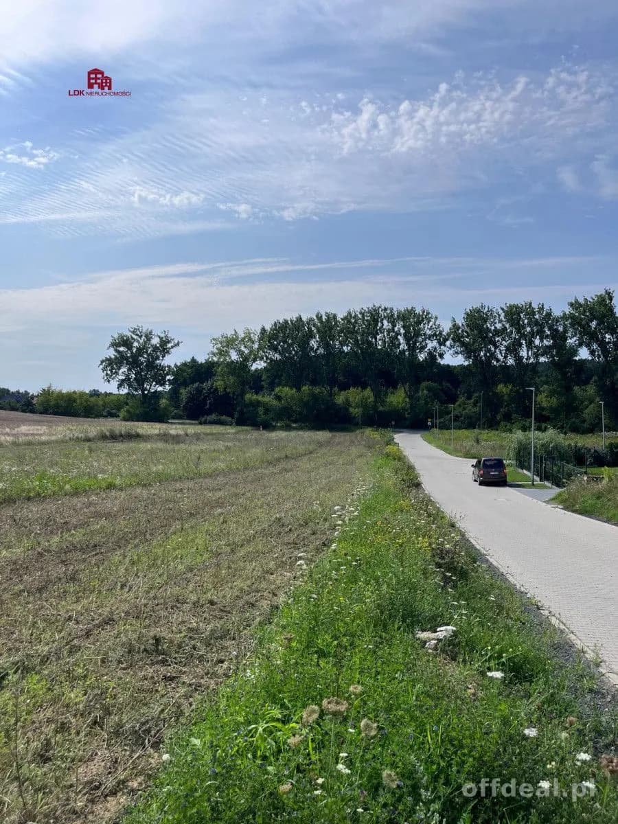 Atrakcyjna działka z planem – Przytok k. Zielonej