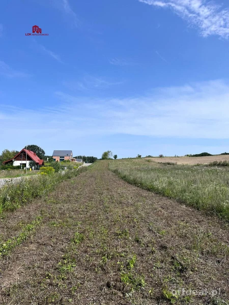 Atrakcyjna działka z planem – Przytok k. Zielonej