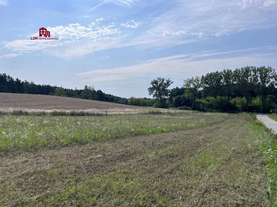 Atrakcyjna działka z planem – Przytok k. Zielonej