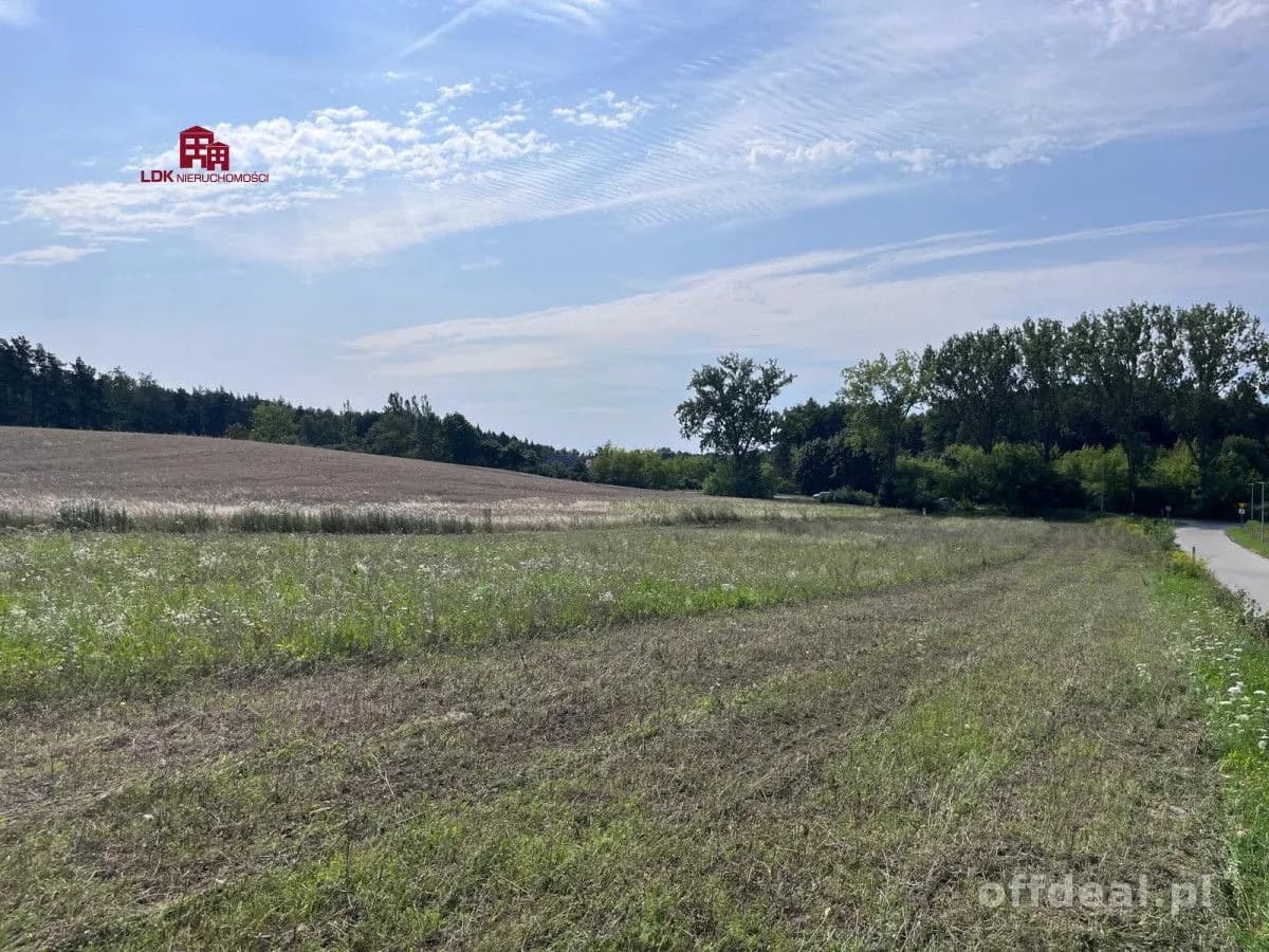 Atrakcyjna działka z planem – Przytok k. Zielonej