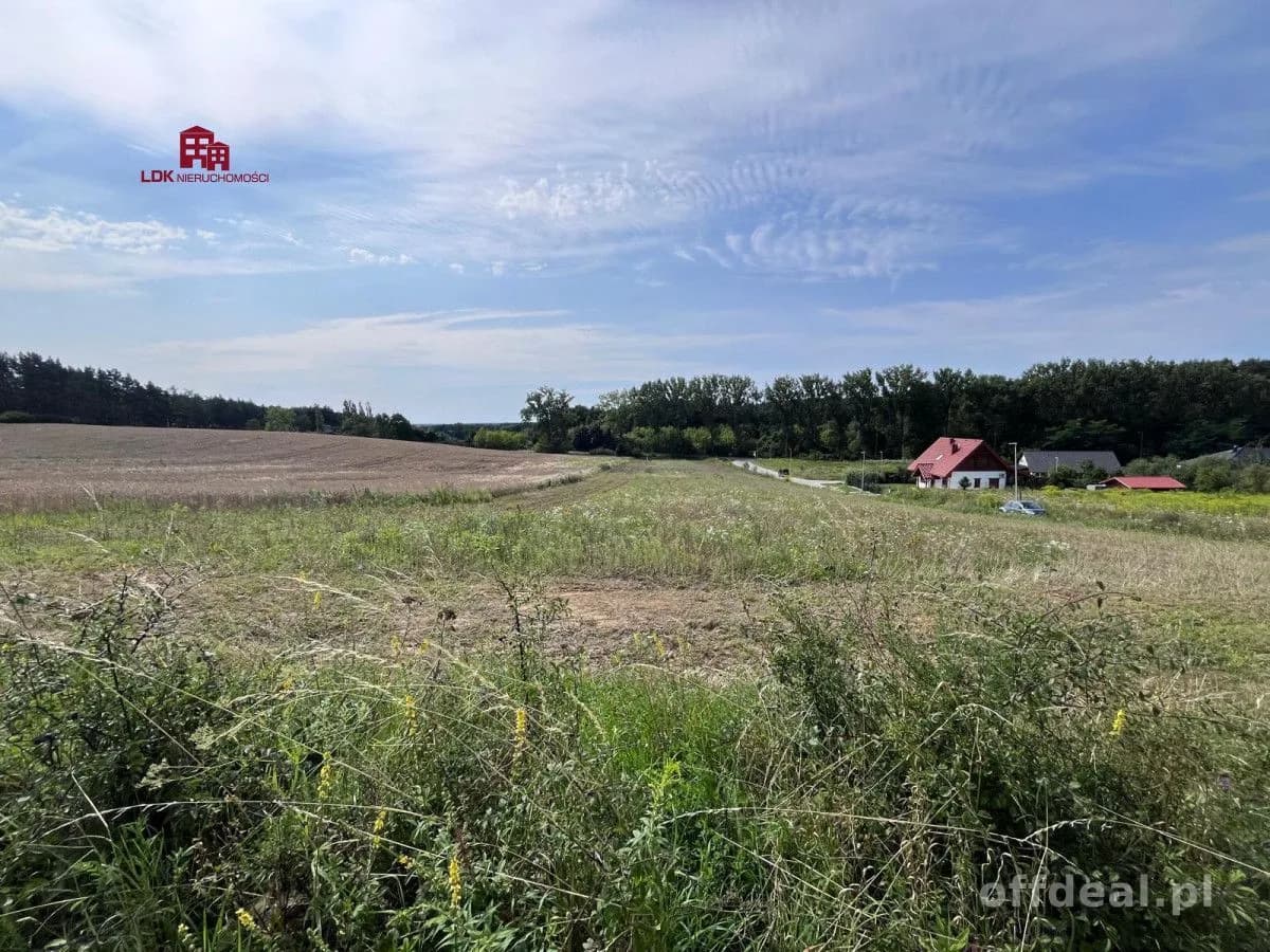 Atrakcyjna działka z planem – Przytok k. Zielonej