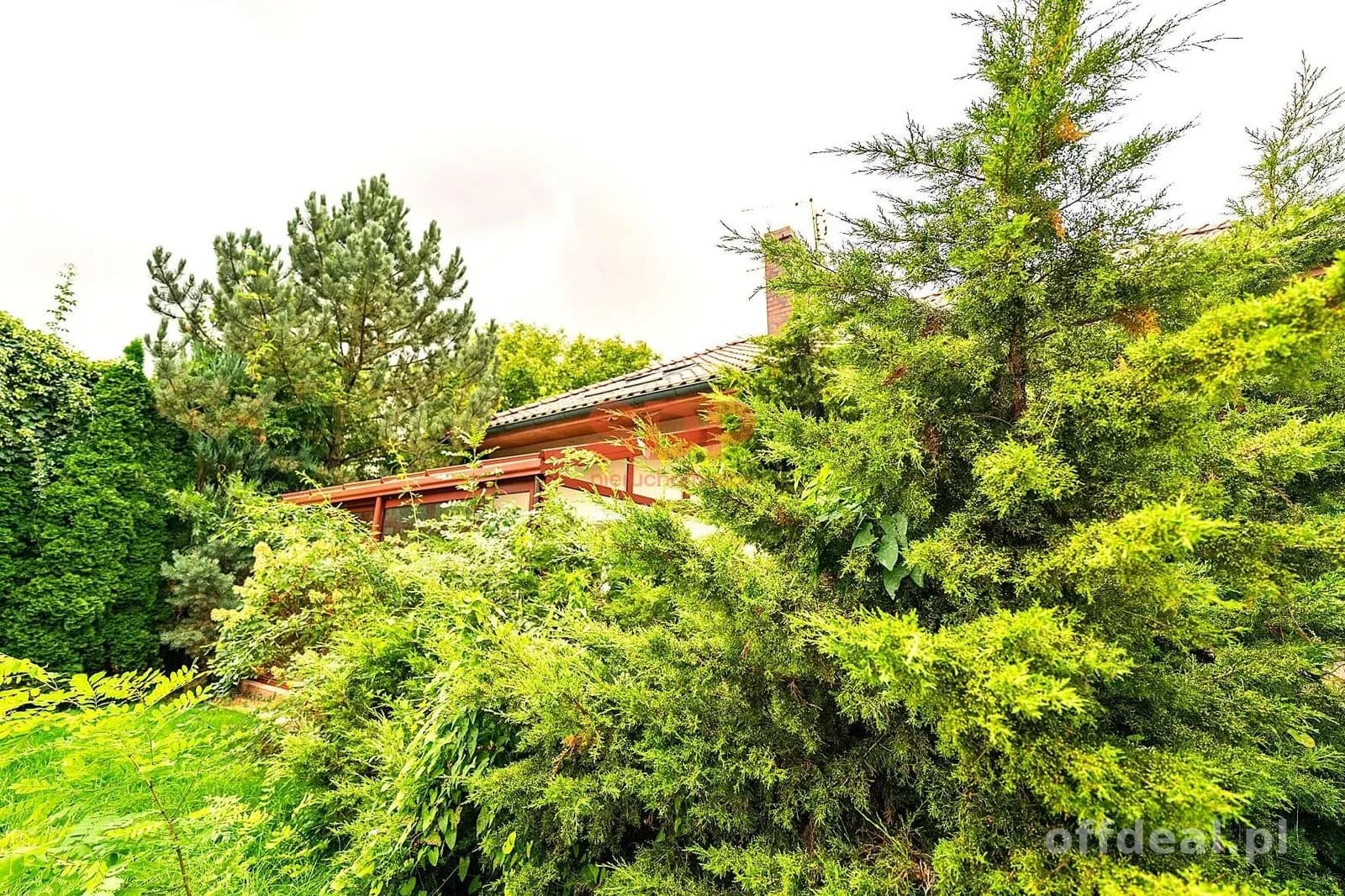 3-room house for sale in Kamieniec Wrocławski | 147.78 m²