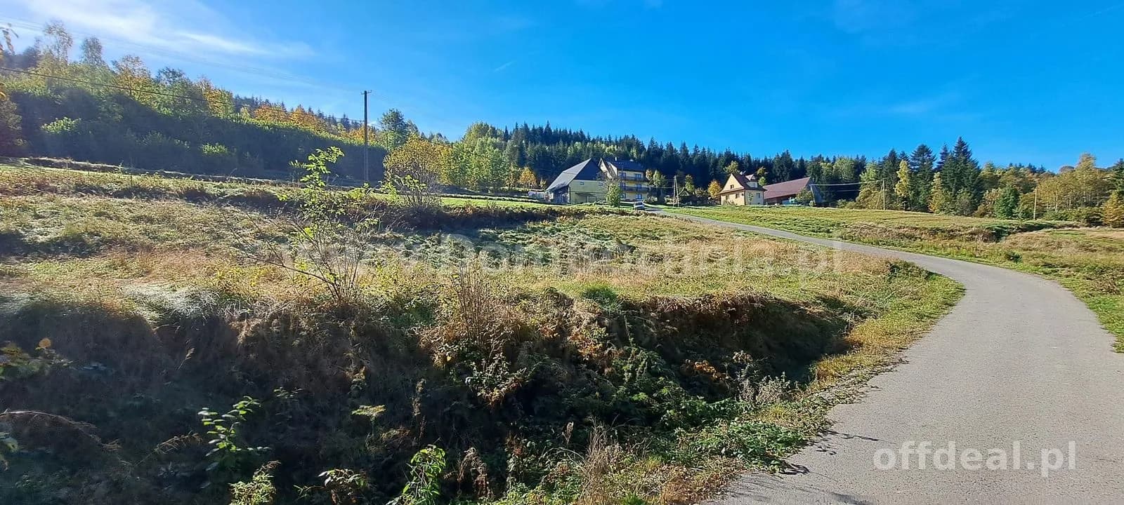 Kasina Wielka 11ar w spokojnym miejscu pod lasem