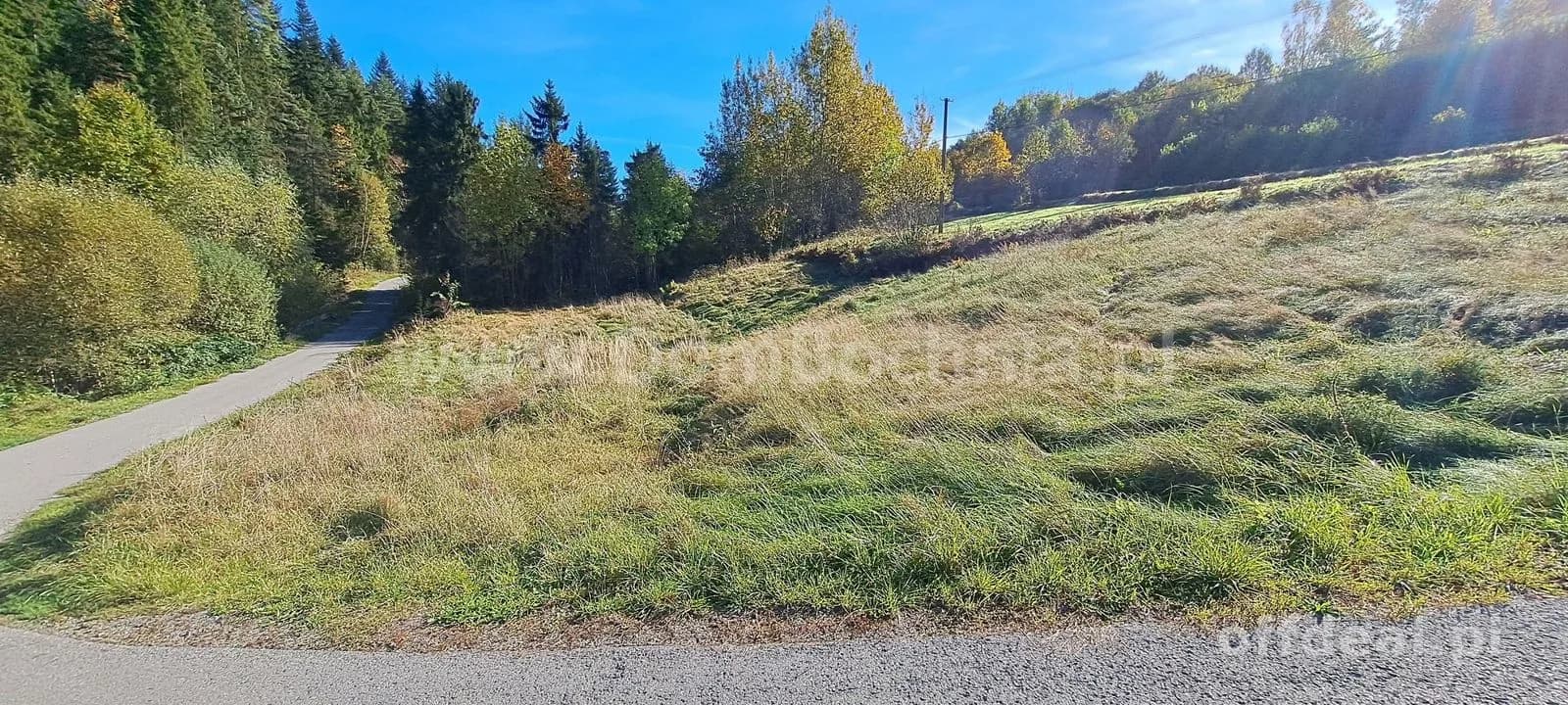 Kasina Wielka 11ar w spokojnym miejscu pod lasem