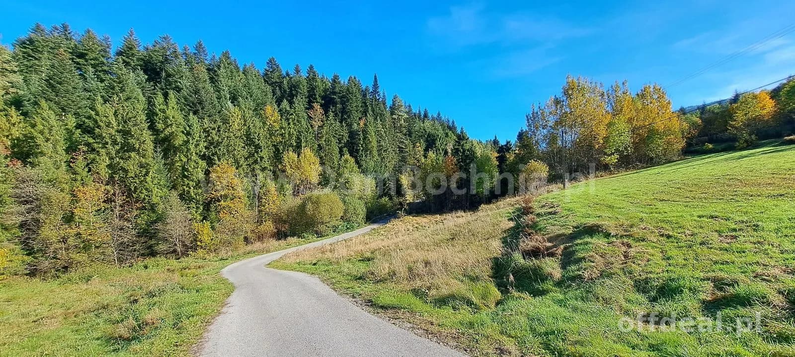 Kasina Wielka 11ar w spokojnym miejscu pod lasem