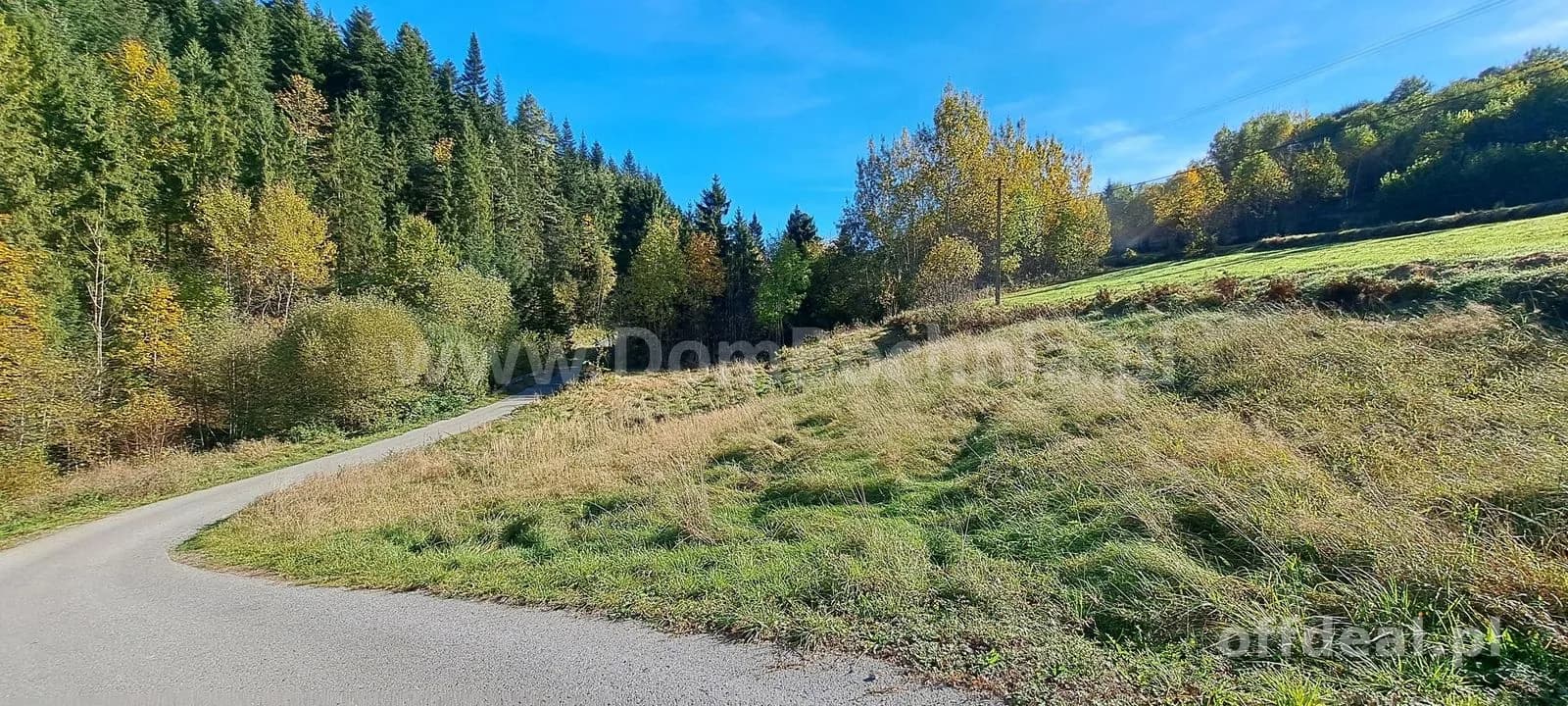 Kasina Wielka 11ar w spokojnym miejscu pod lasem