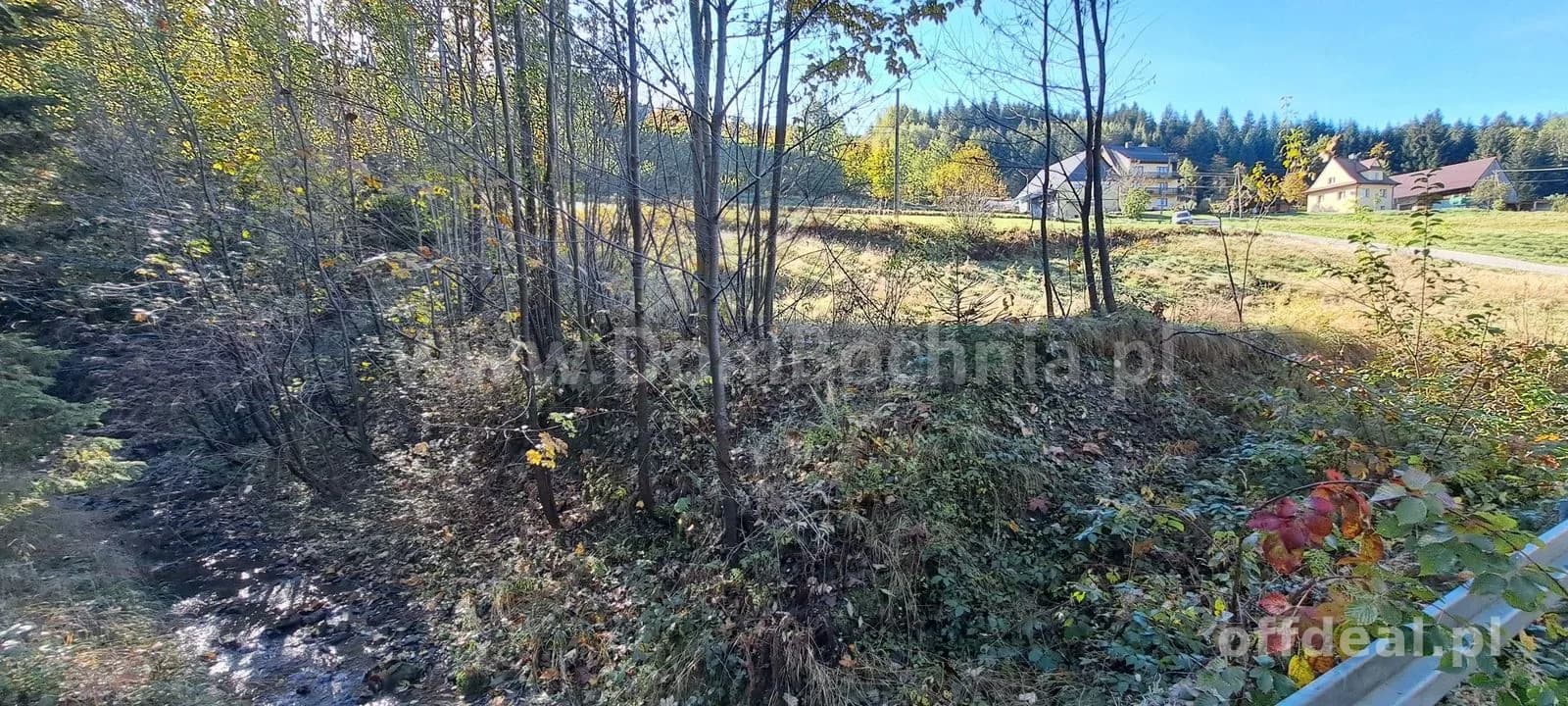 Kasina Wielka 11ar w spokojnym miejscu pod lasem