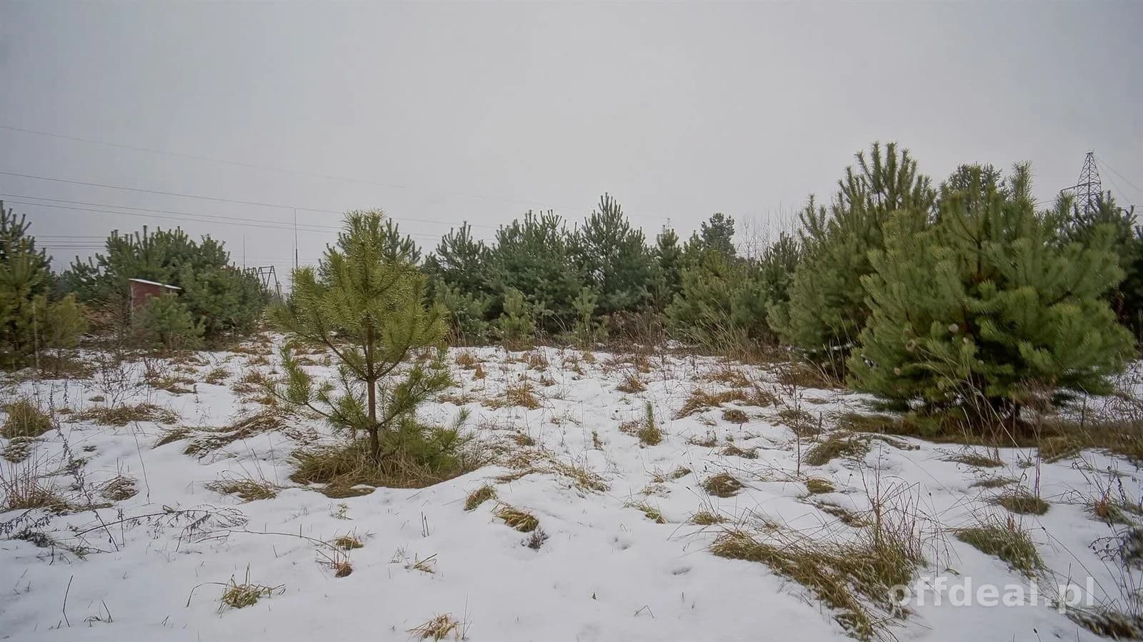 plot for sale in Ełk, Nowa Wieś Ełcka | 4,343 m²