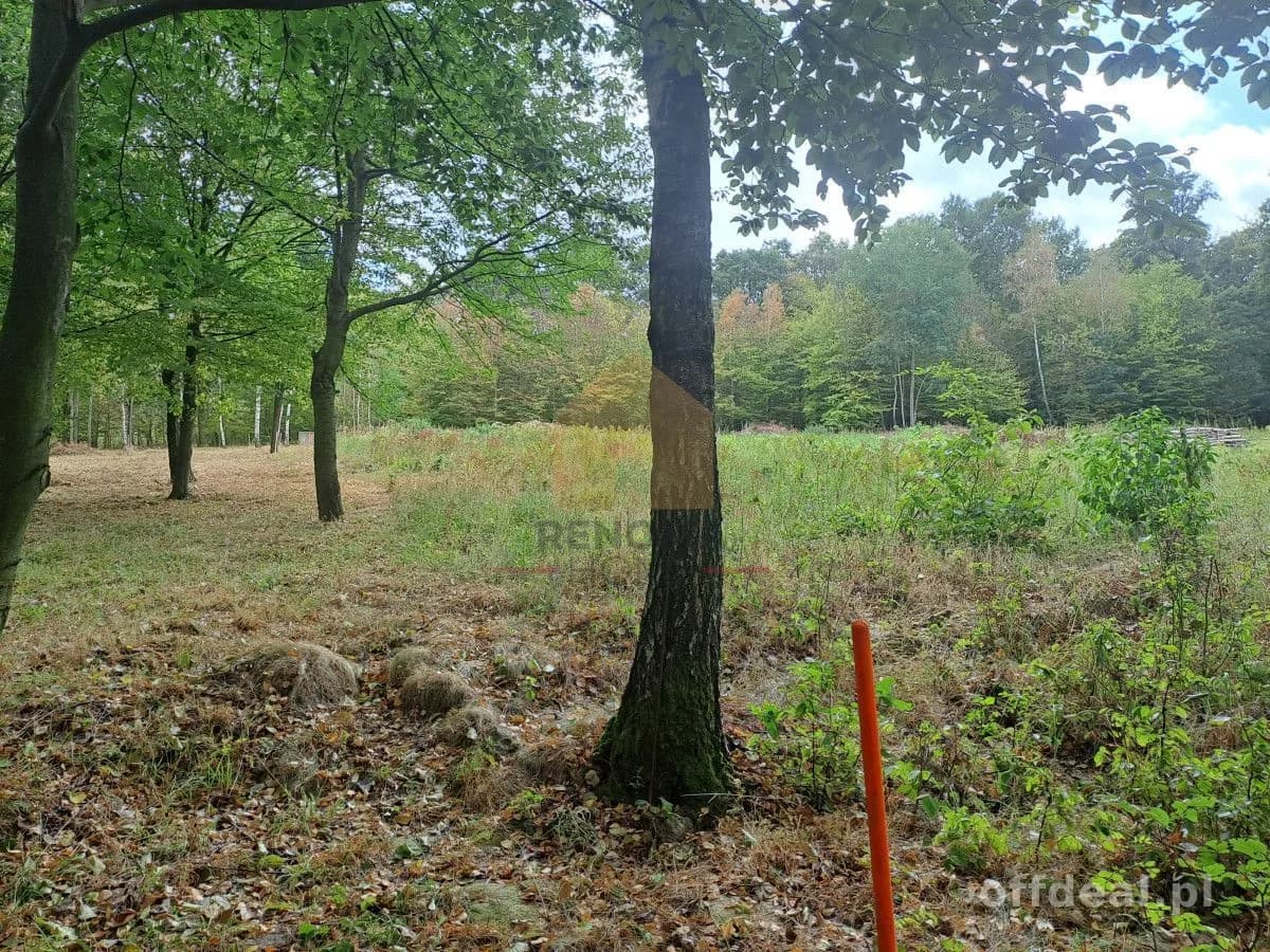 Zdjęcie 11: Działka, 3350 m², Kuropatnik