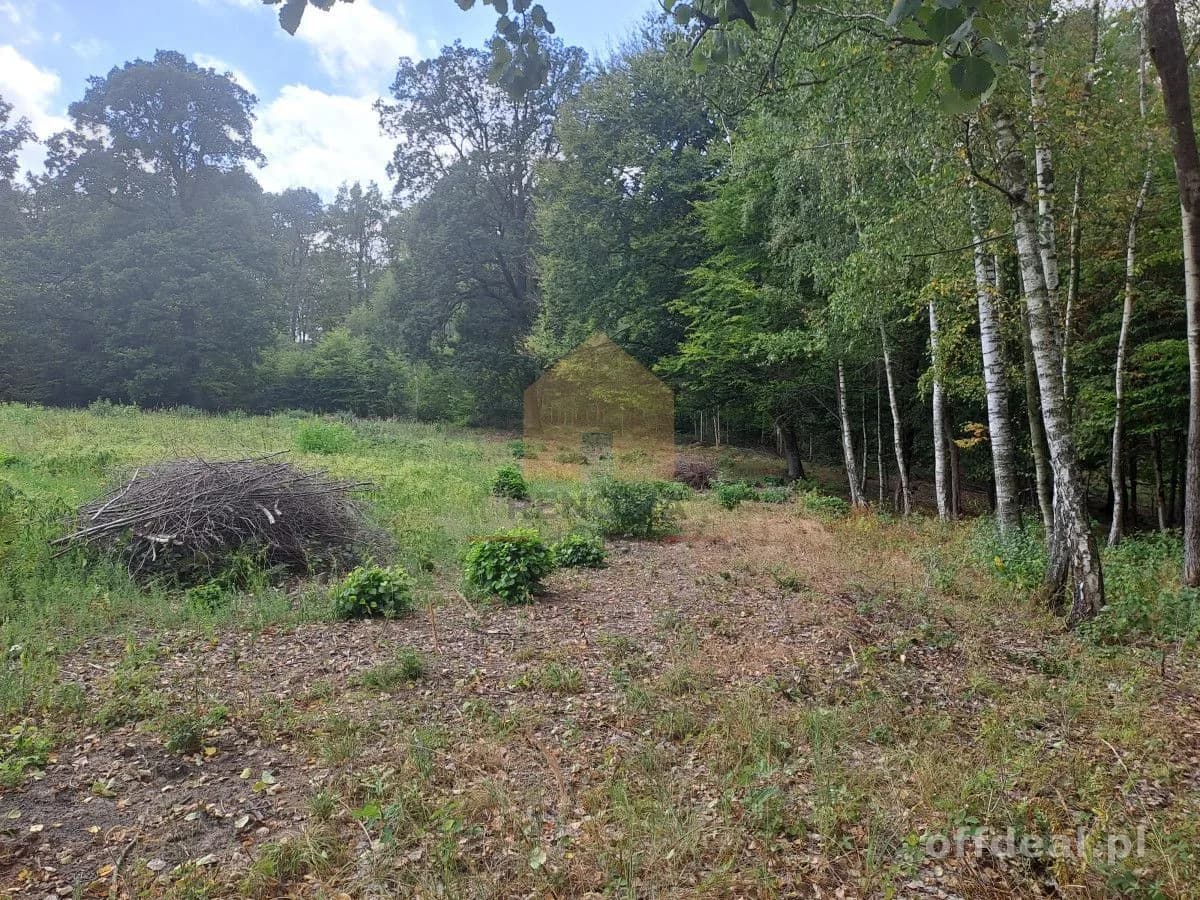 Zdjęcie 10: Działka, 3350 m², Kuropatnik