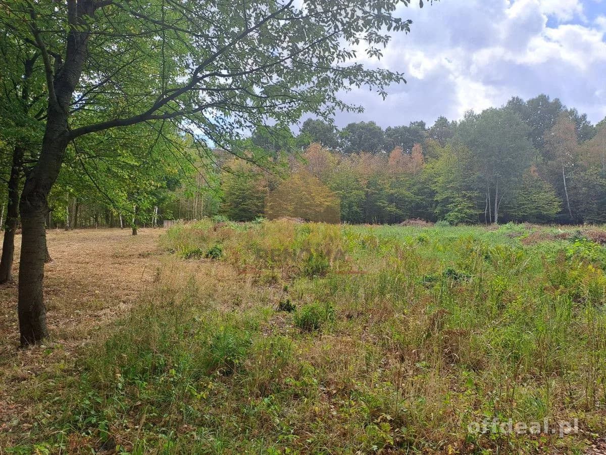 Zdjęcie 13: Działka, 3350 m², Kuropatnik