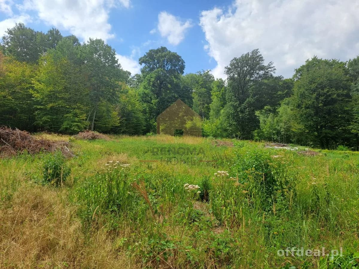 Zdjęcie 15: Działka, 3350 m², Kuropatnik