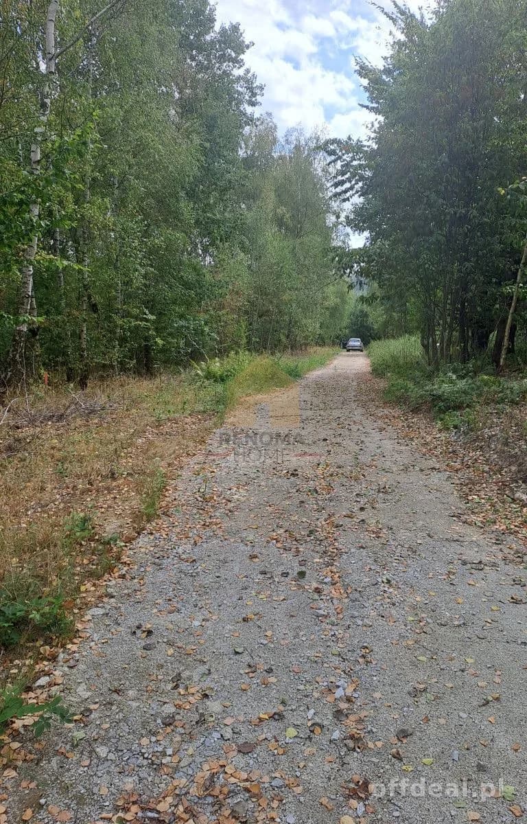 Zdjęcie 6: Działka, 3350 m², Kuropatnik