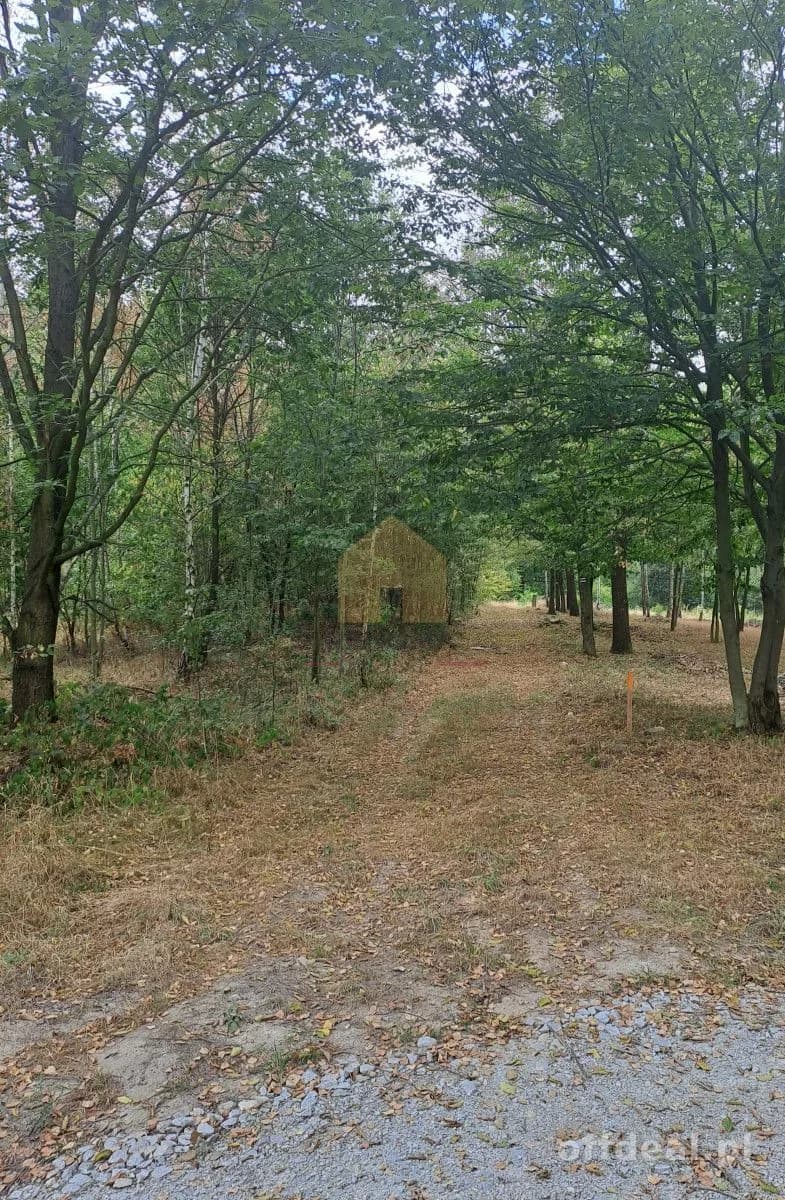Zdjęcie 7: Działka, 3350 m², Kuropatnik