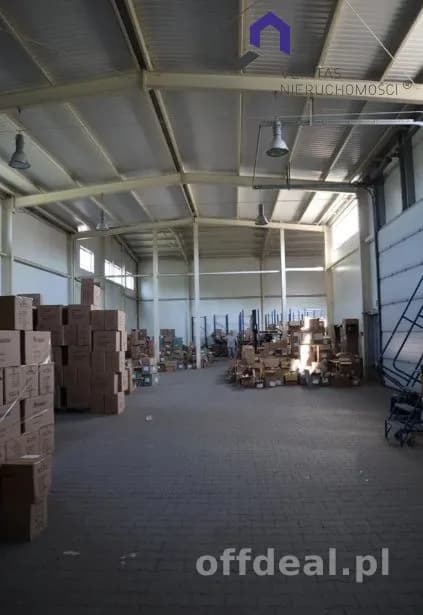 Lokal na wynajem, Katowice