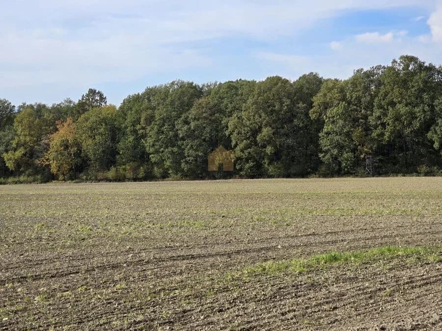 plot for sale in Sobótka, Tąpadła | 90,500 m²