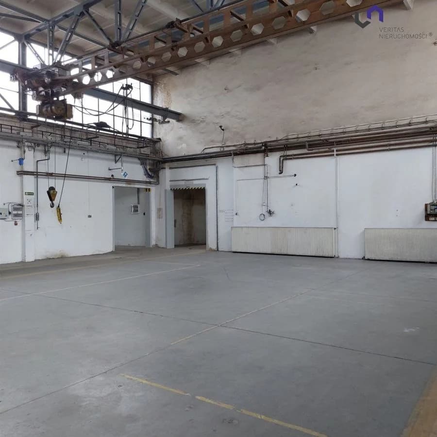Lokal na wynajem, Katowice