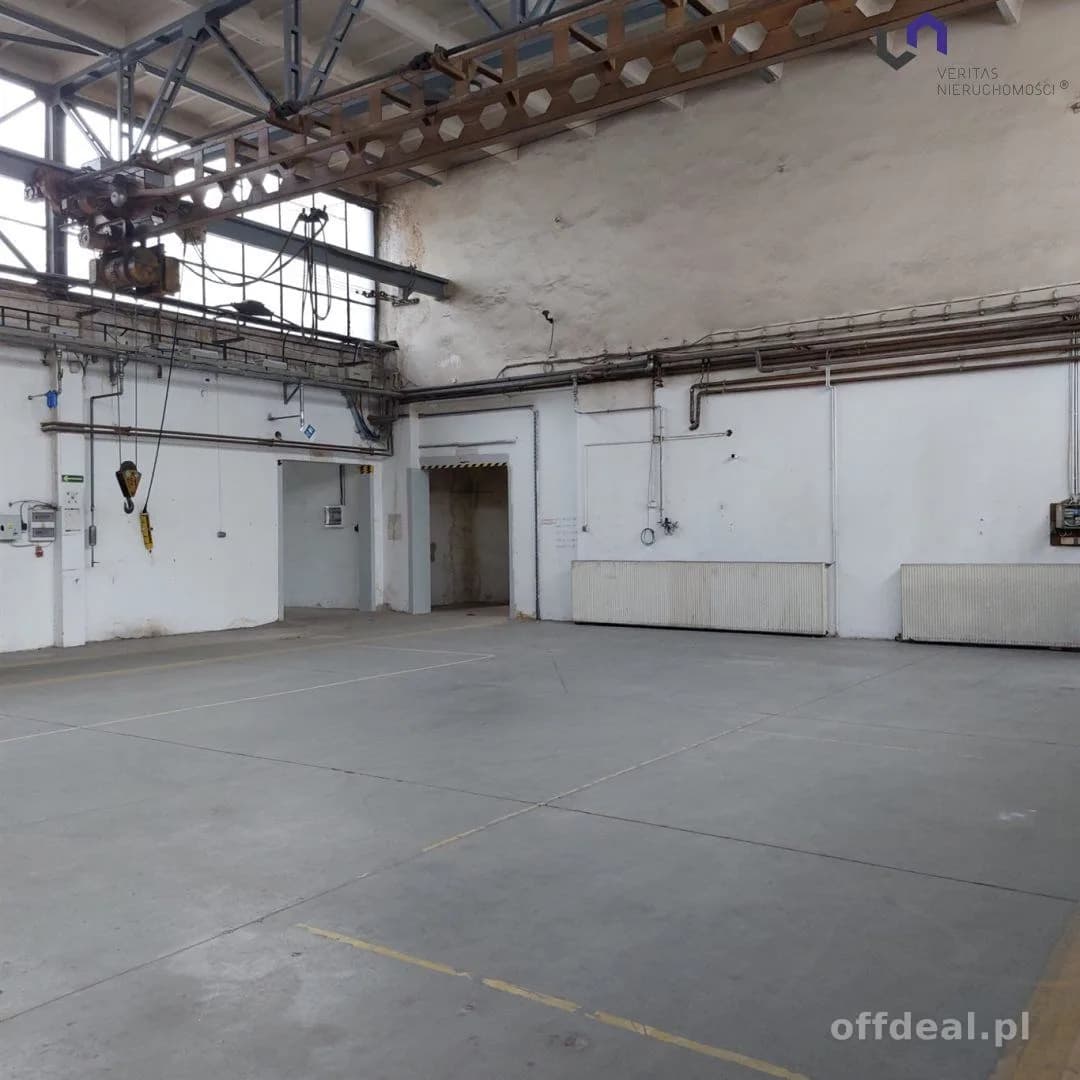 Lokal na wynajem, Katowice