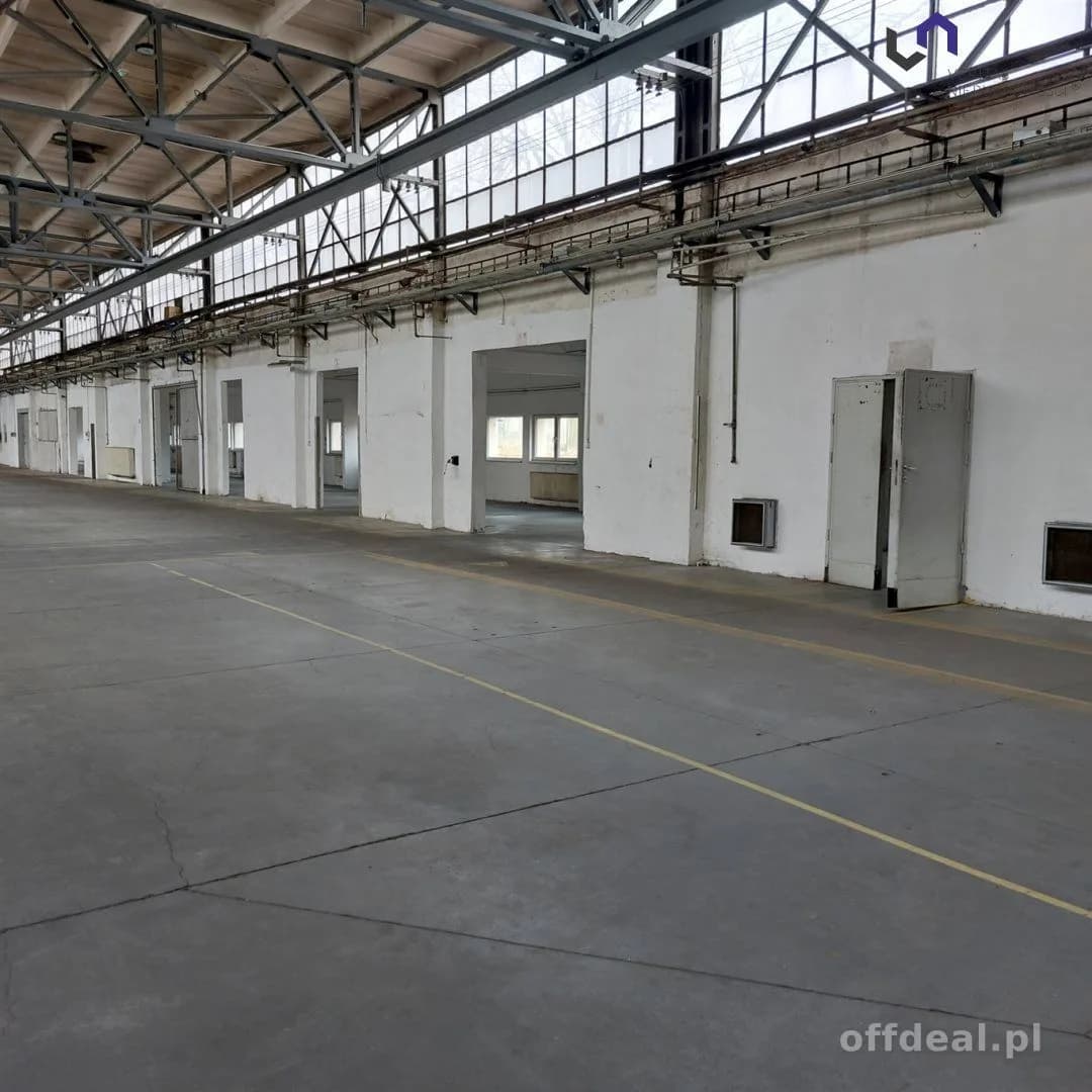 Lokal na wynajem, Katowice
