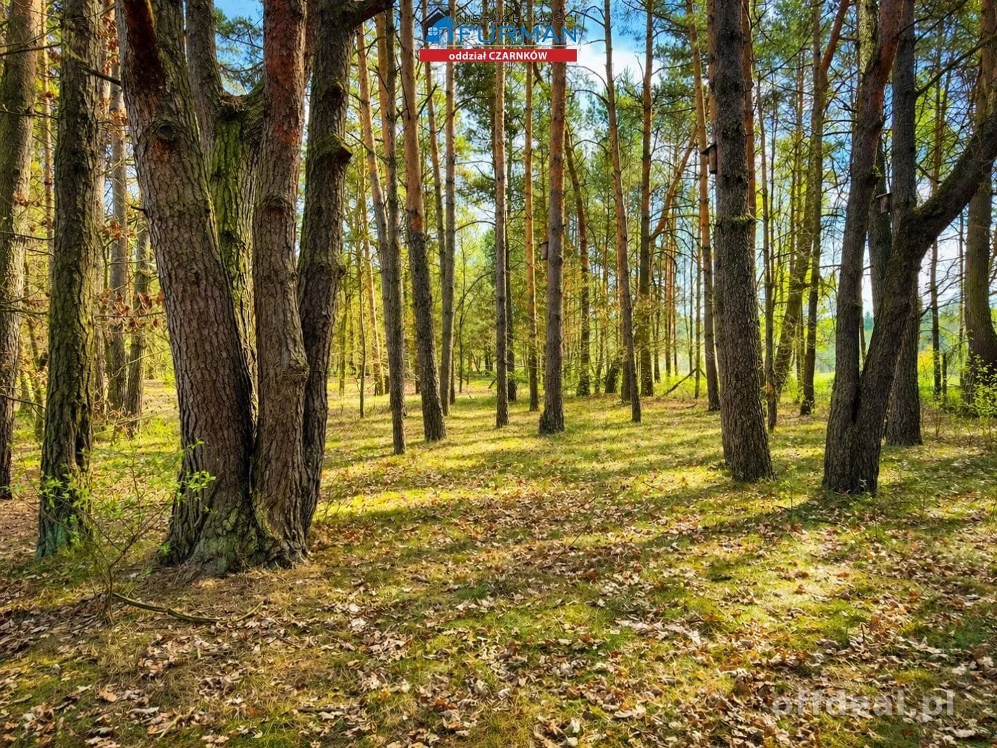 Dom na sprzedaż, Zielonowo
