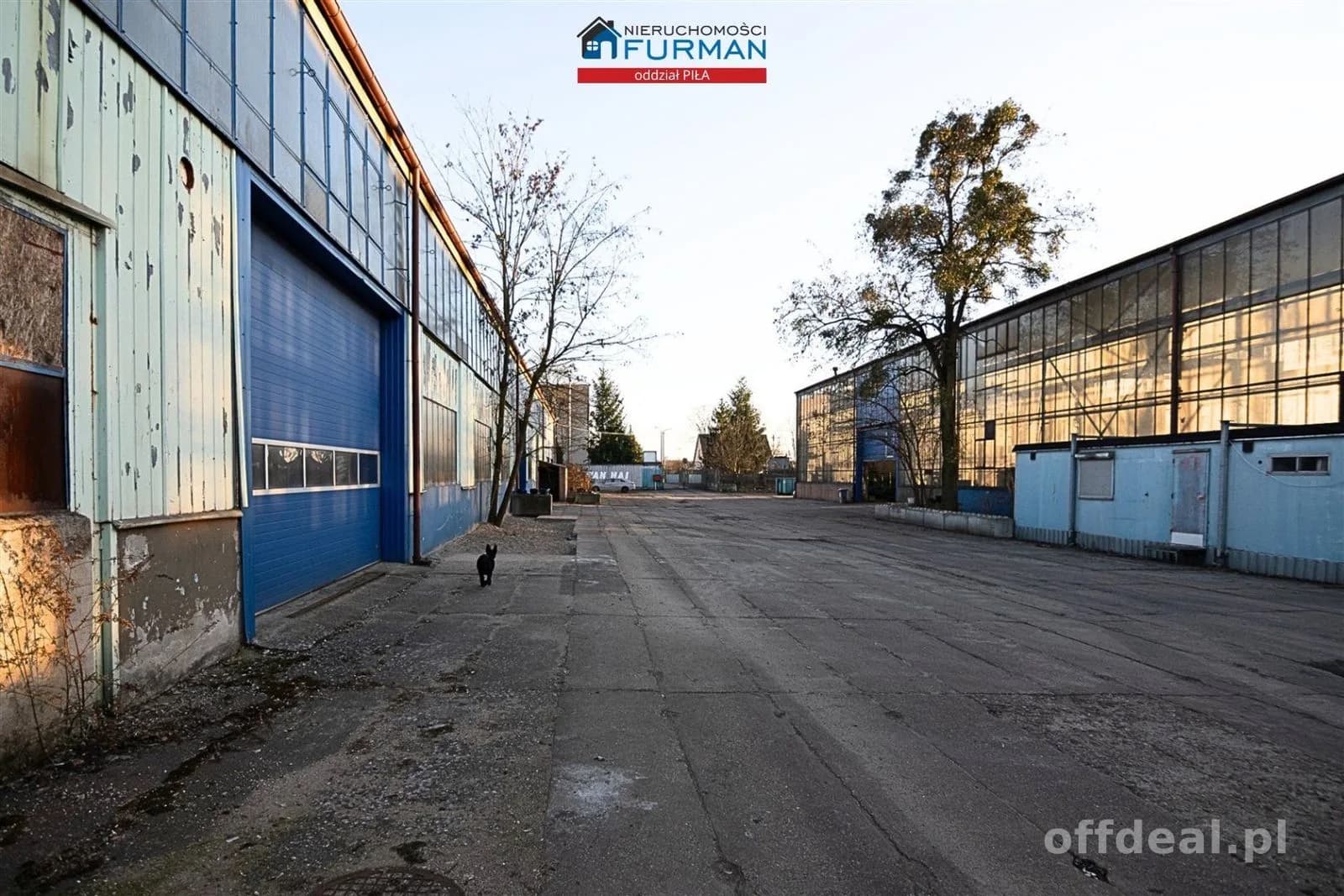 Hale produkcyjne 2650 m² i grunt inwest. 2,08 ha