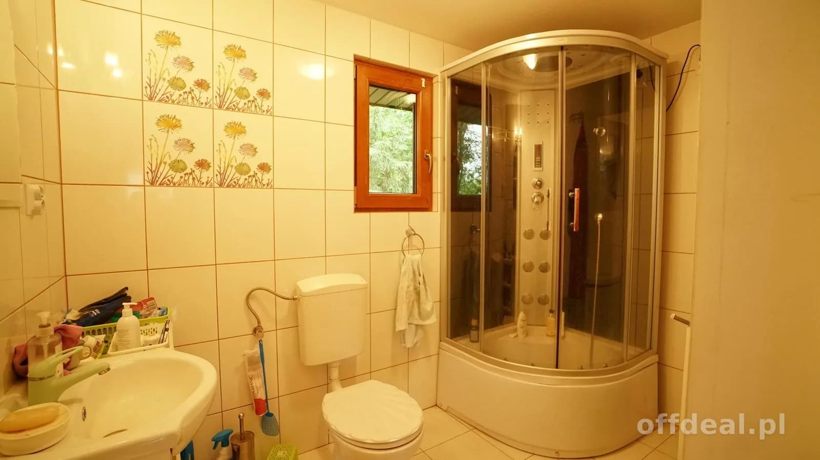 Domek ukryty w małym lesie, blisko rzeki, Cieciory gm. Turośl