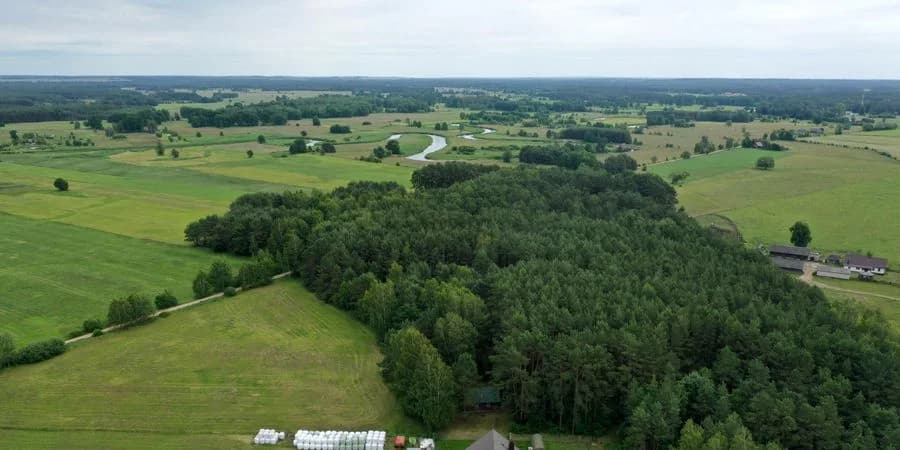Domek ukryty w małym lesie, blisko rzeki, Cieciory gm. Turośl