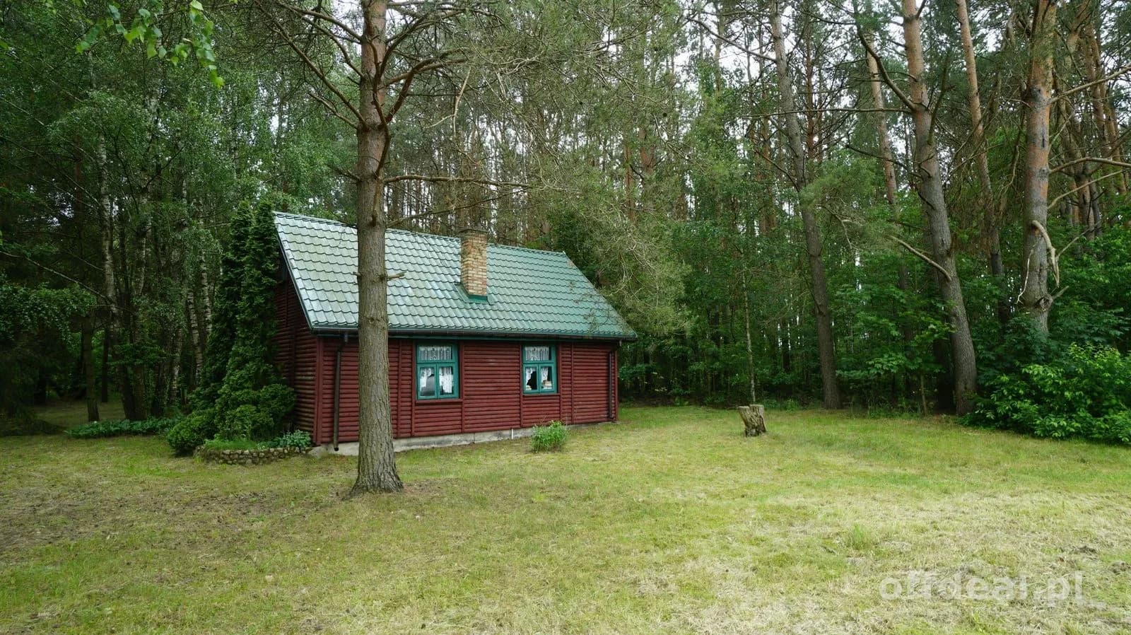 Domek ukryty w małym lesie, blisko rzeki, Cieciory gm. Turośl