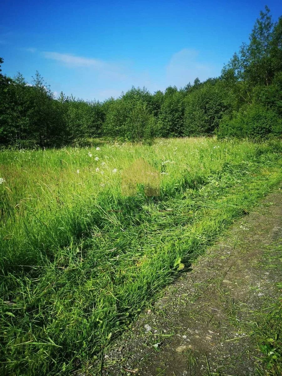terrain à vendre à Bystrzyca Kłodzka | 86 m²