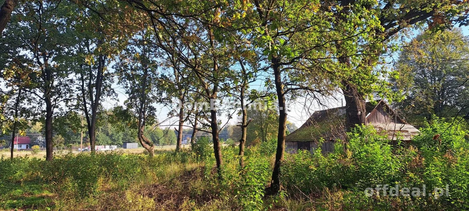 Photo 6: Terrain, 1191 m², Bratucice