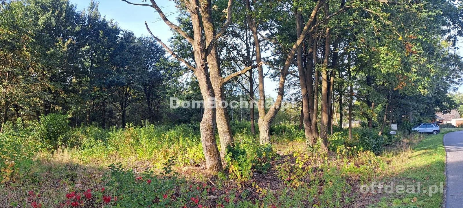 Photo 3: Terrain, 1191 m², Bratucice