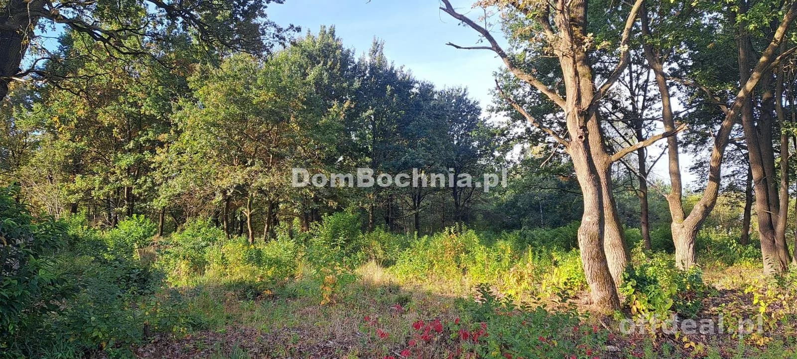 Photo 11: Terrain, 1191 m², Bratucice