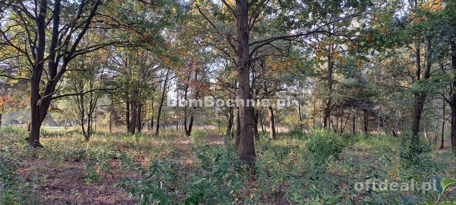 Photo 5: Terrain, 1191 m², Bratucice