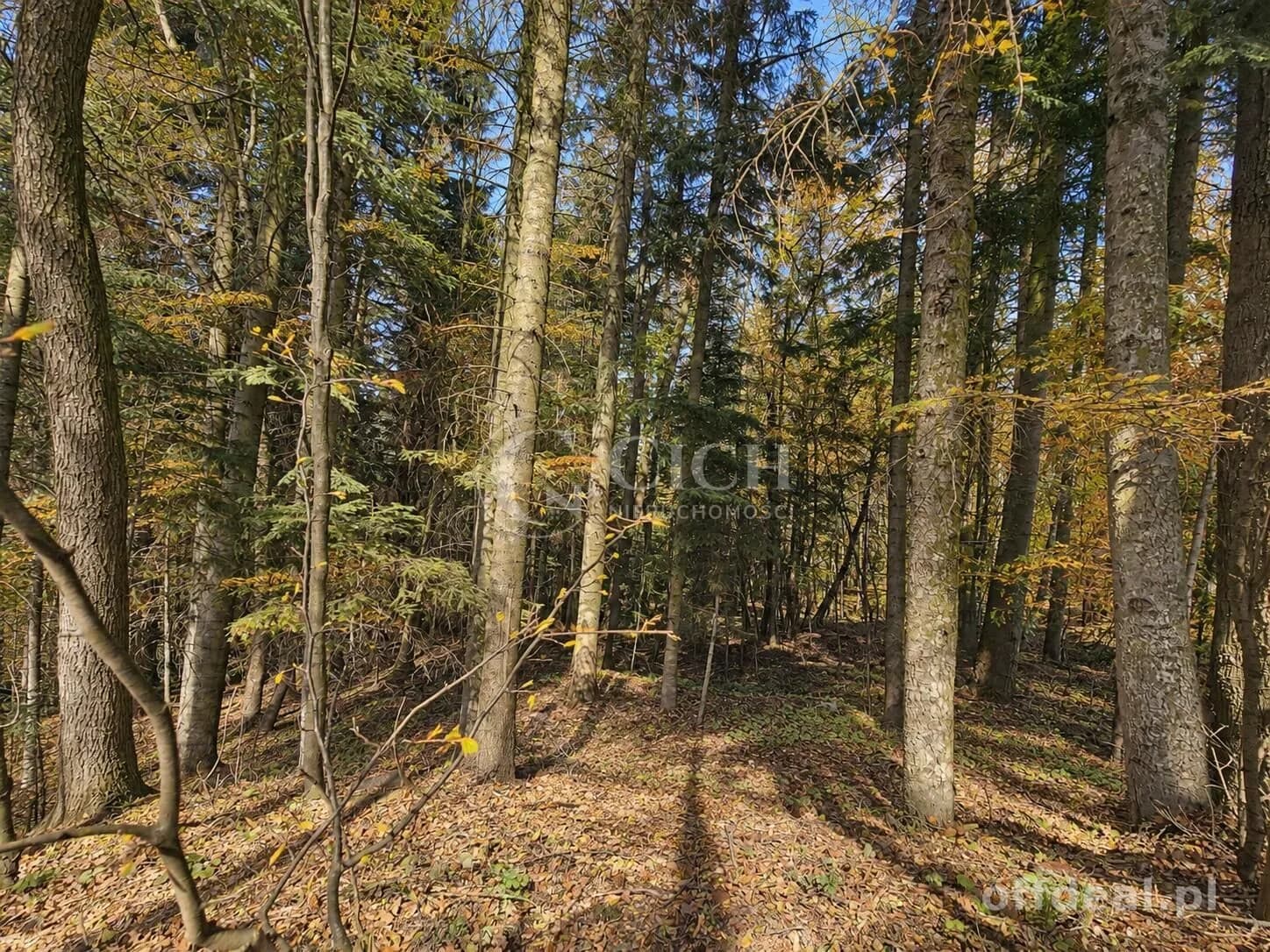 Фото 8: Ділянка, 8100 m², Ostrusza