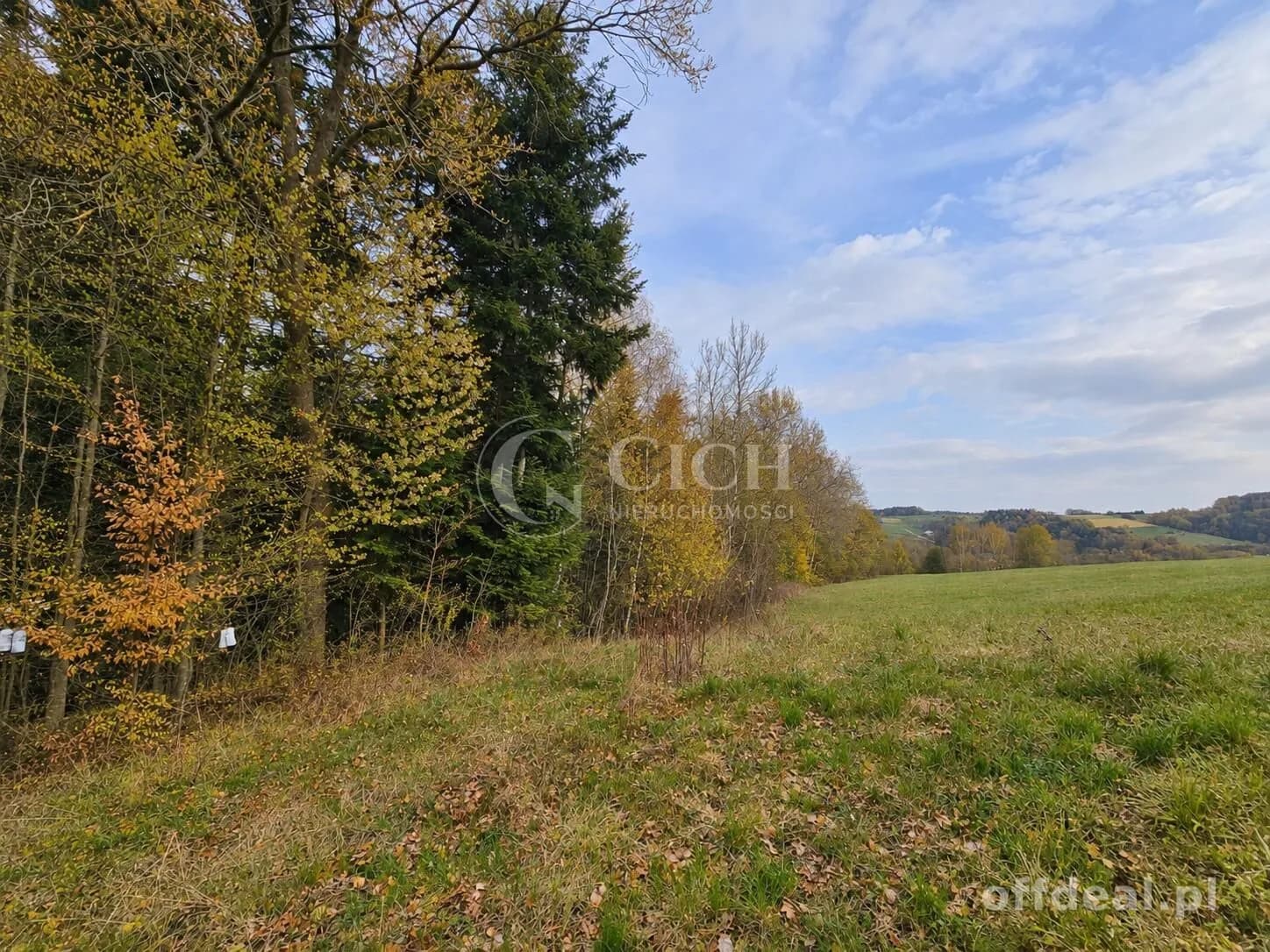 Фото 7: Ділянка, 8100 m², Ostrusza