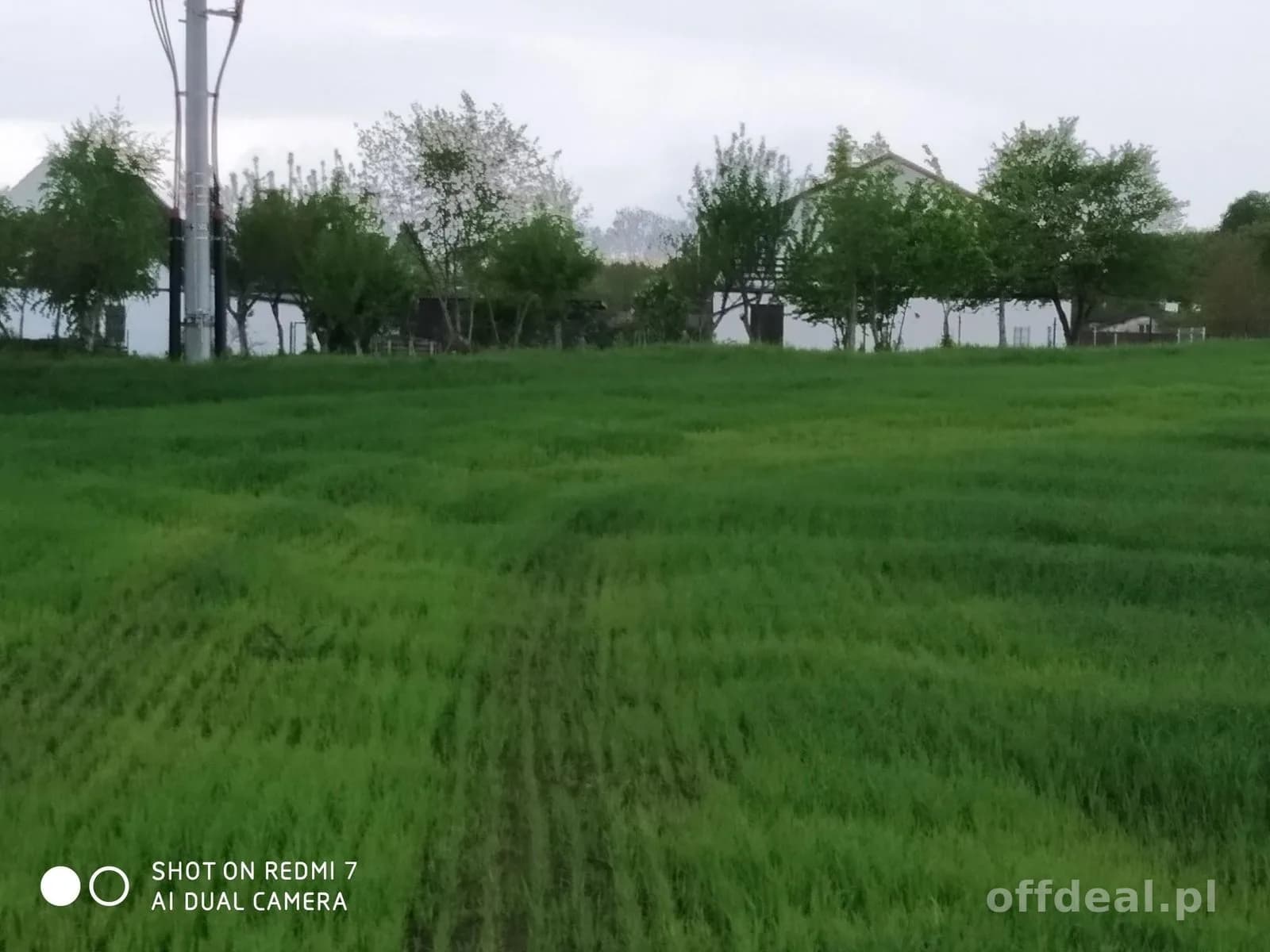 Czernin uzbrojona działka budowlana o pow. 1620 m2