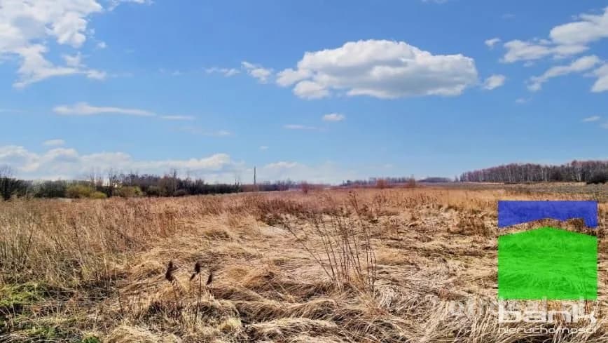 Smolice gm. Stryków - działka inwestycyjna 2,92 ha
