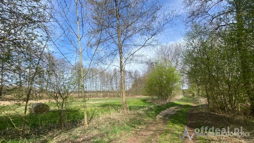 plot for sale in Jesiona, Jesionka