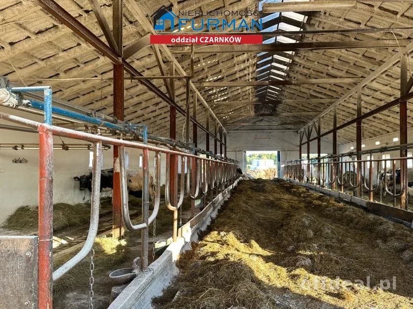 terrain à vendre à Wrzeszczyna | 227 900 m²