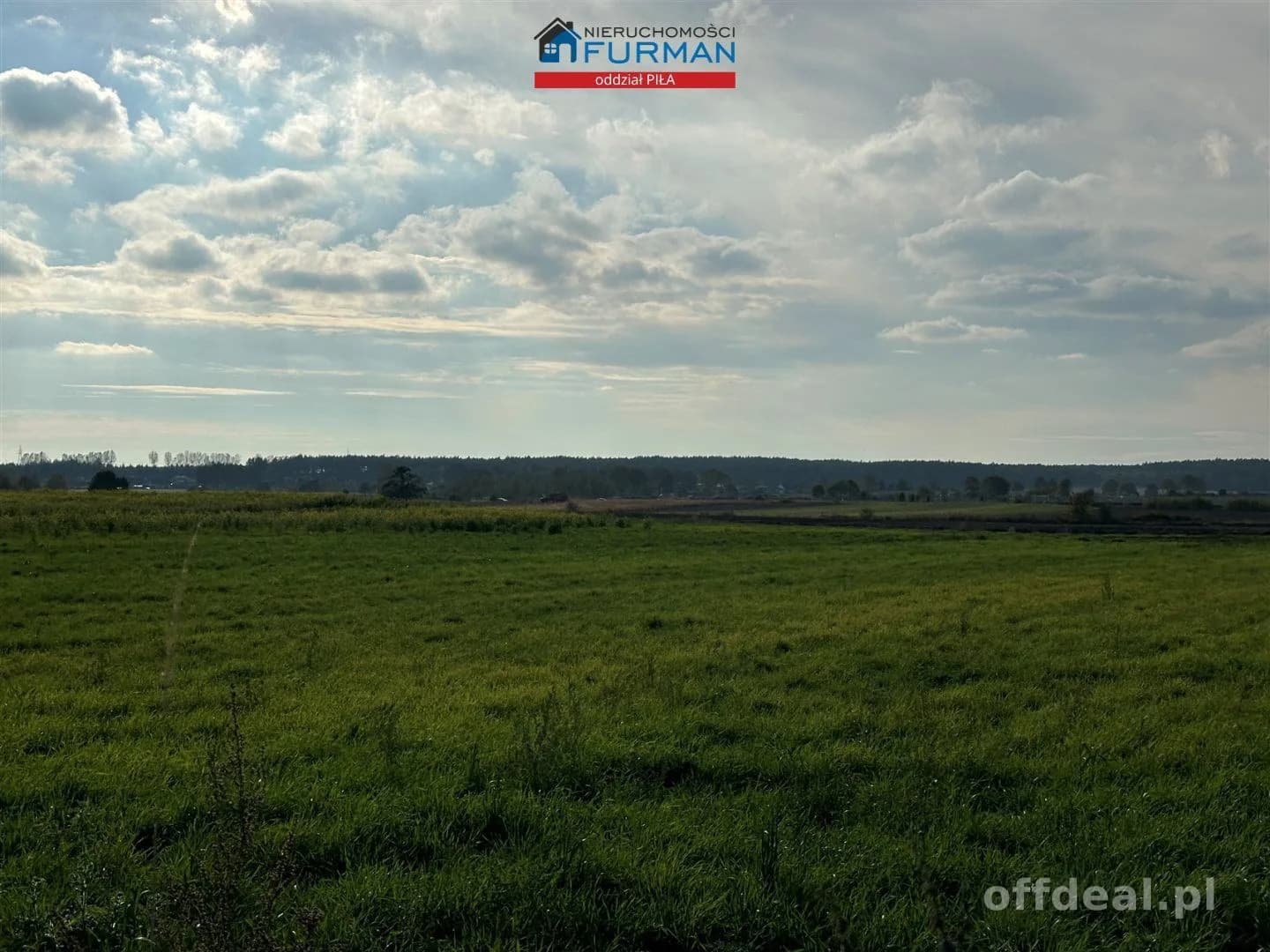 terrain à vendre à Morzewo | 3 044 m²