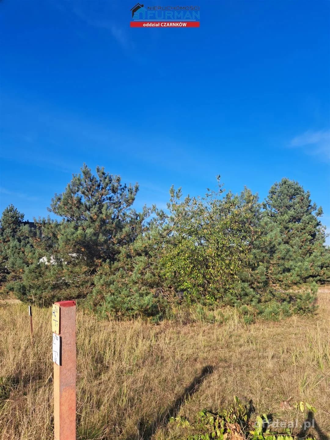 terrain à vendre à Wieleń | 2 650 m²