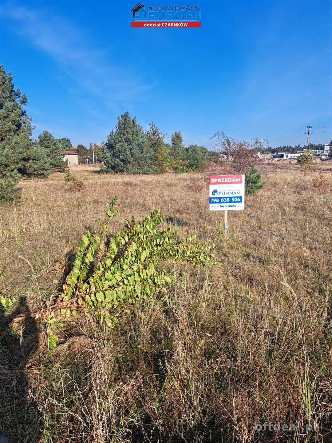 terrain à vendre à Wieleń | 2 650 m²