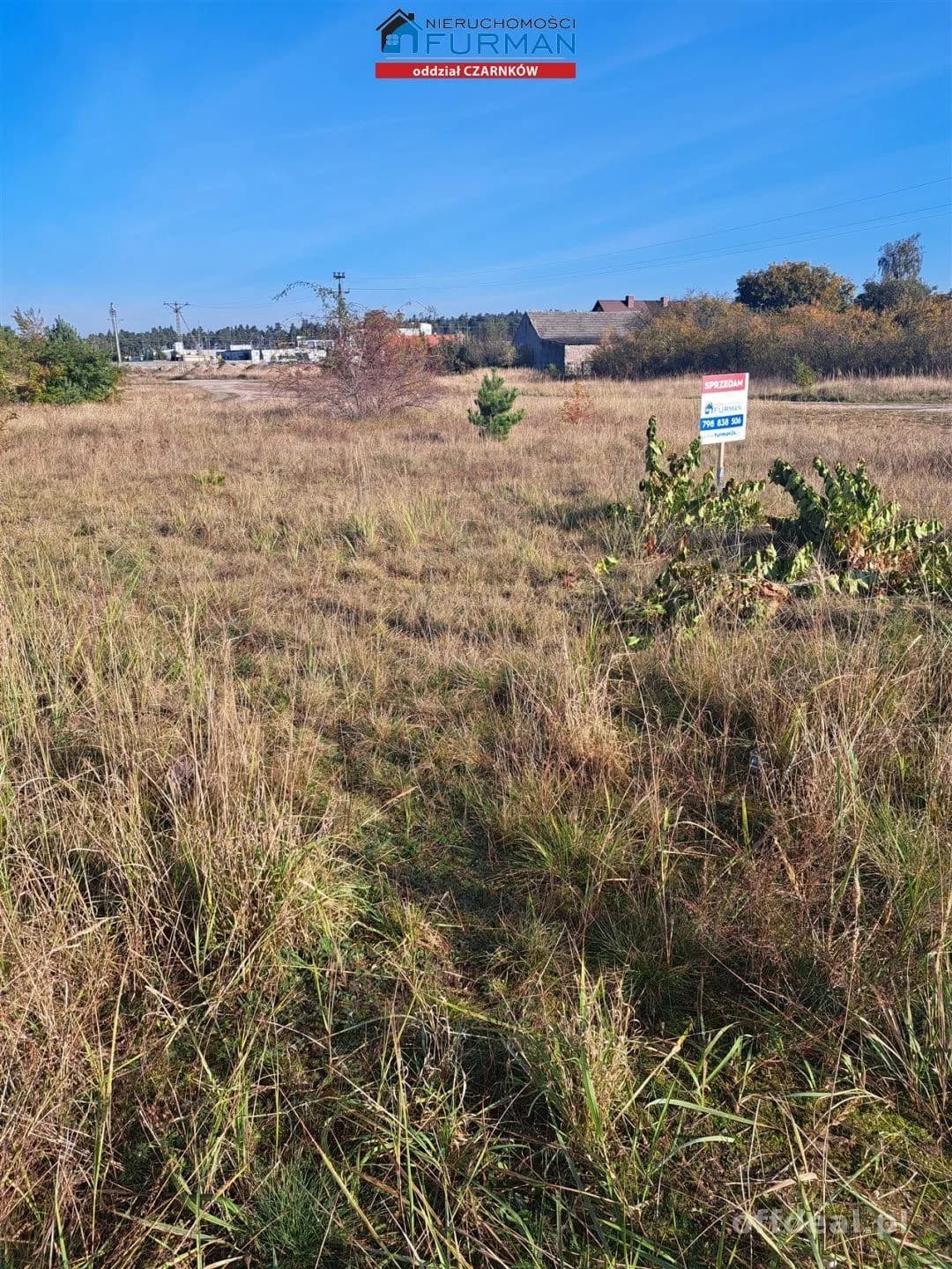 terrain à vendre à Wieleń | 2 650 m²