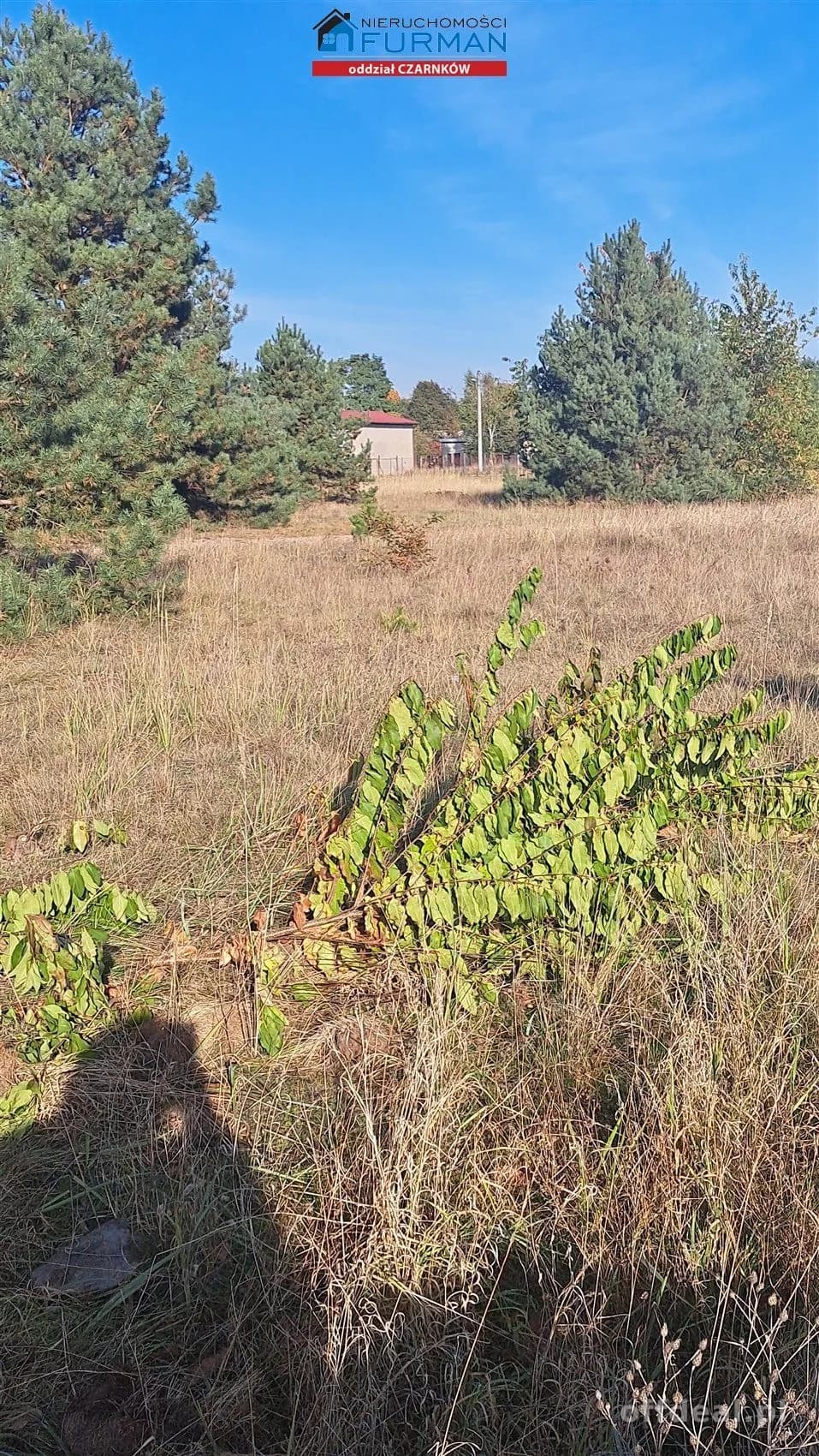 terrain à vendre à Wieleń | 2 650 m²