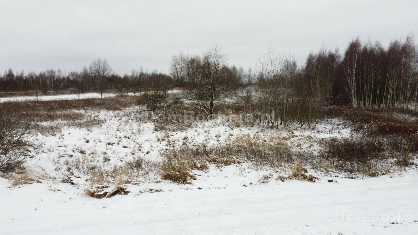 40ar działka przemysłowo usługowa Borek Rzezawa