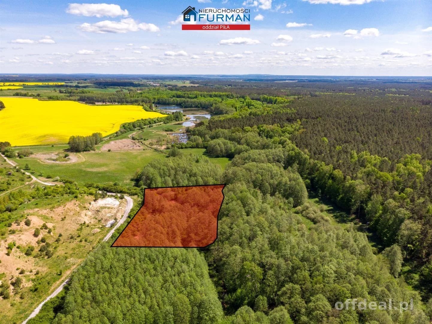 terrain à vendre à Róża Wielka | 24 900 m²