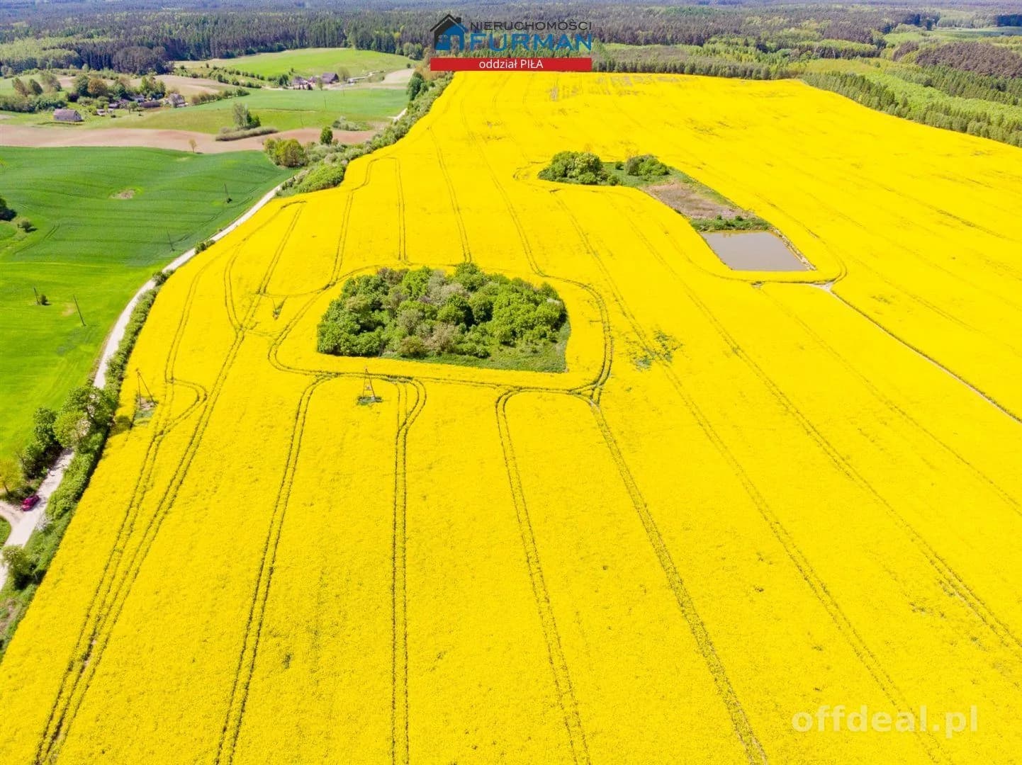 terrain à vendre à Róża Wielka | 24 900 m²