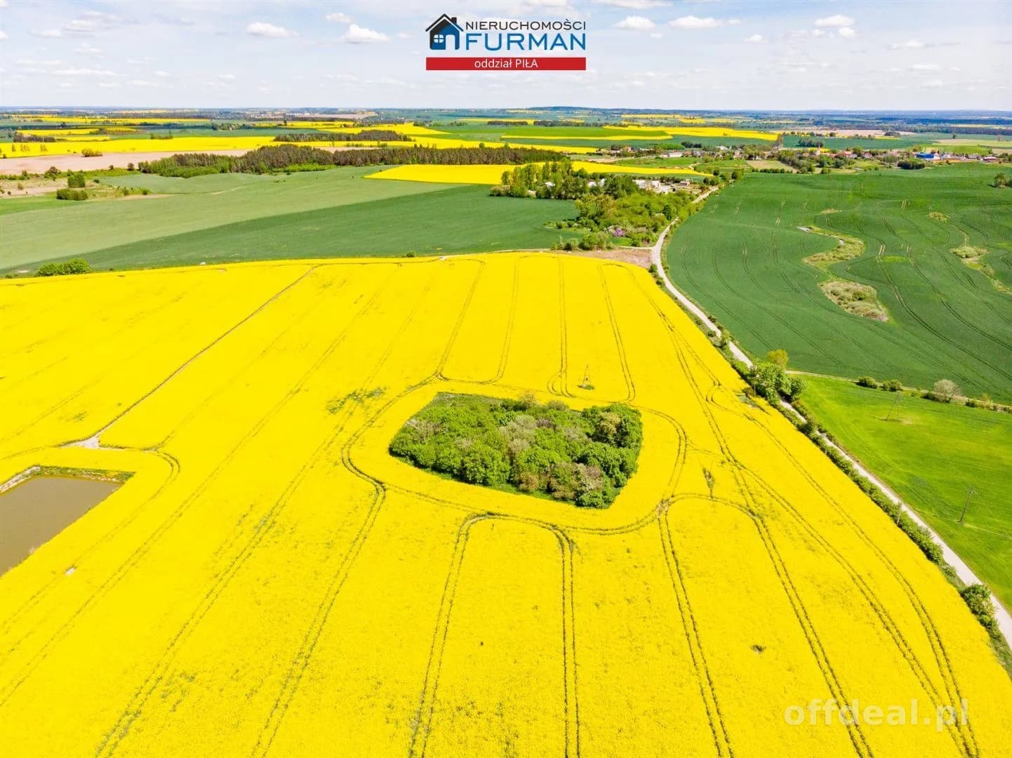 terrain à vendre à Róża Wielka | 24 900 m²