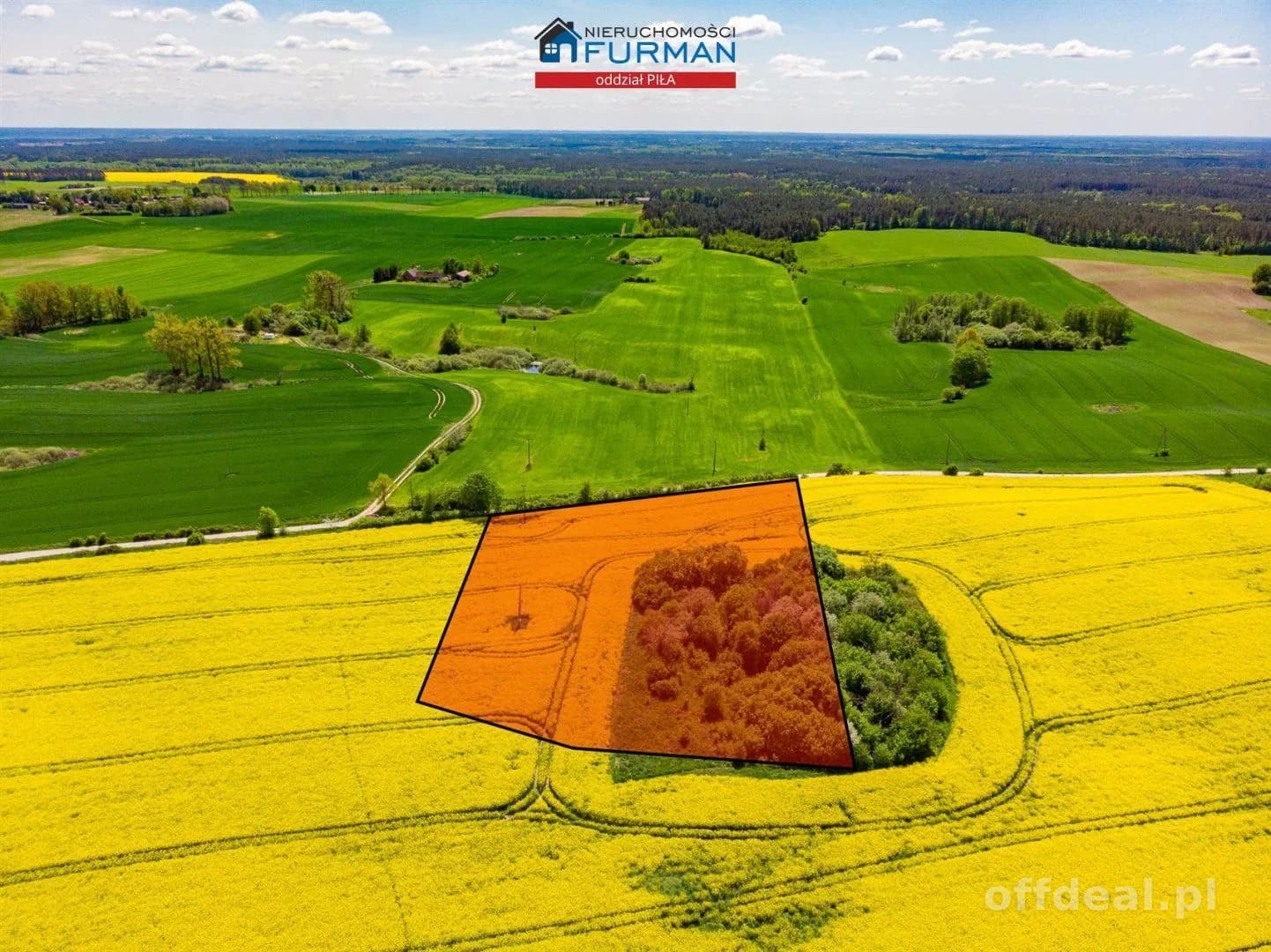 terrain à vendre à Róża Wielka | 24 900 m²